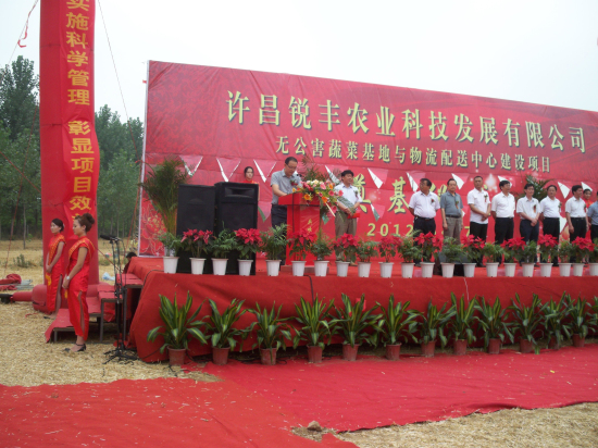 河南許昌銳豐無公害蔬菜基地(土墻體冬暖日光溫室) 河南許昌銳豐無公害蔬菜基地(土墻體冬暖日光溫室)